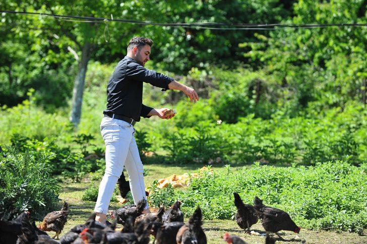 Tavuklara Mozart dinleterek yumurta verimini artırdı   G4