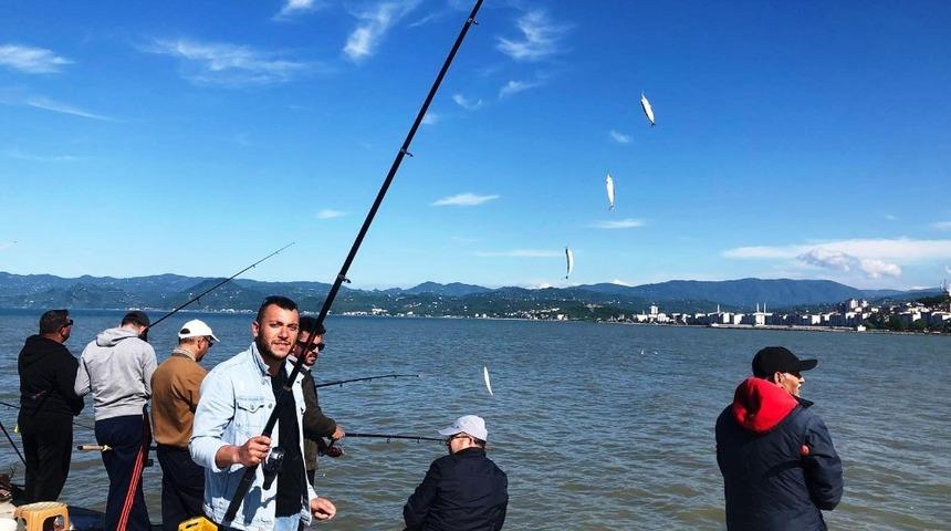 İskelede istavrit bereketi