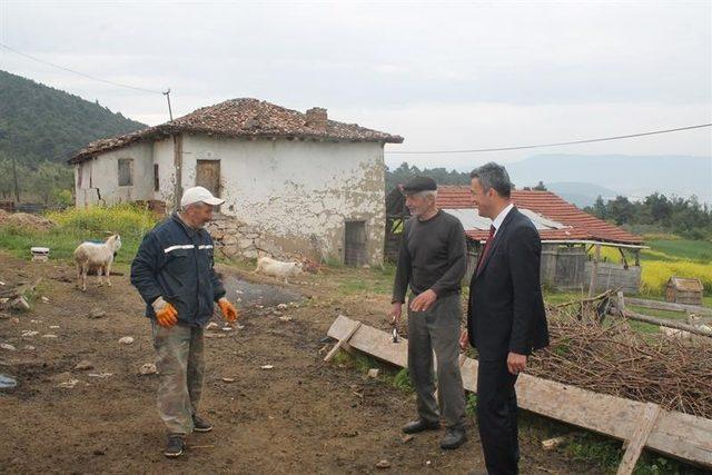 Nişantaşı’nı bırakıp Bilecik’te keçileri ile mutlu bir yaşam sürmeye başladı