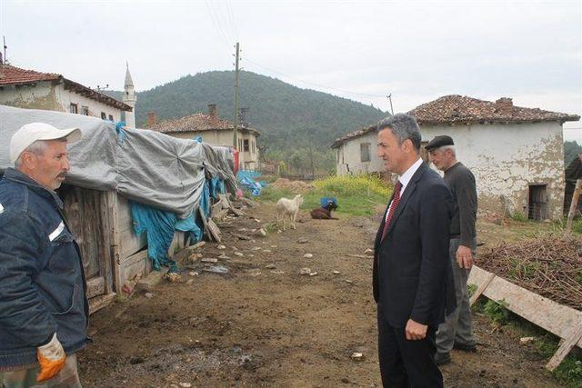 Nişantaşı’nı bırakıp Bilecik’te keçileri ile mutlu bir yaşam sürmeye başladı