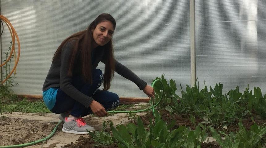 &Ouml;zel İnsanlar, serada sebze &uuml;retiyor