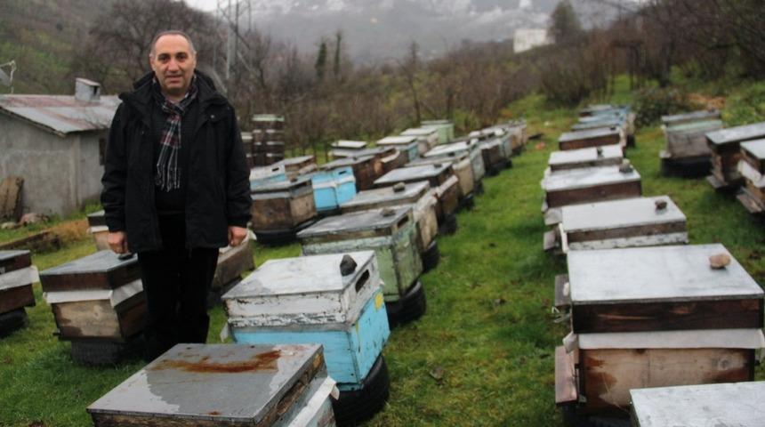 Giresun Arıcılar Birliği Başkanı Elevli, gezgin arıcıları uyardı