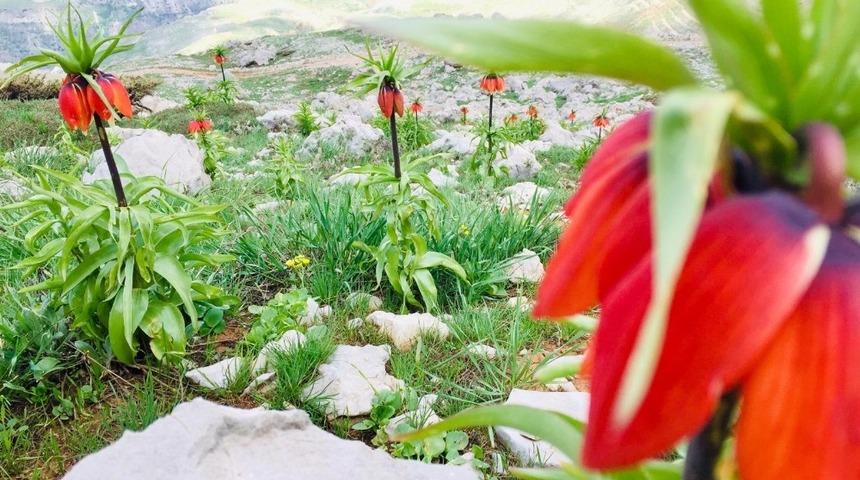 Meraklıları &lsquo;Ağlayan Gelin&rsquo; i&ccedil;in engel tanımıyor