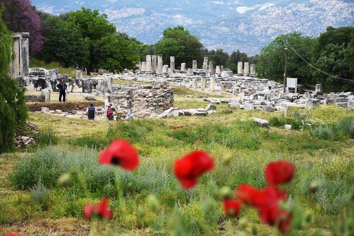 Lagina'nın sütunları ayağa kaldırılıyor  G1