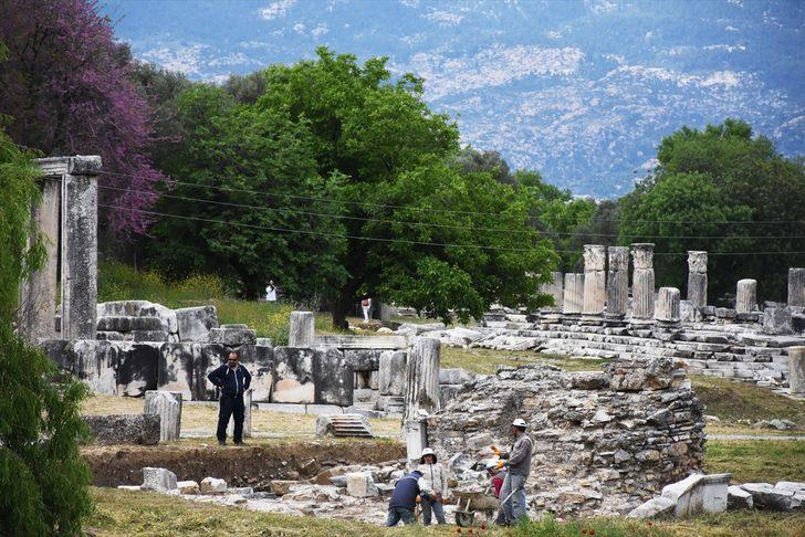 Lagina'nın sütunları ayağa kaldırılıyor  G2