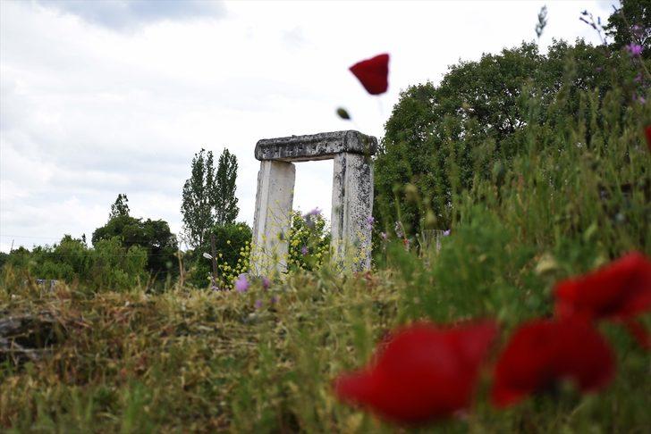 Lagina'nın sütunları ayağa kaldırılıyor  G3