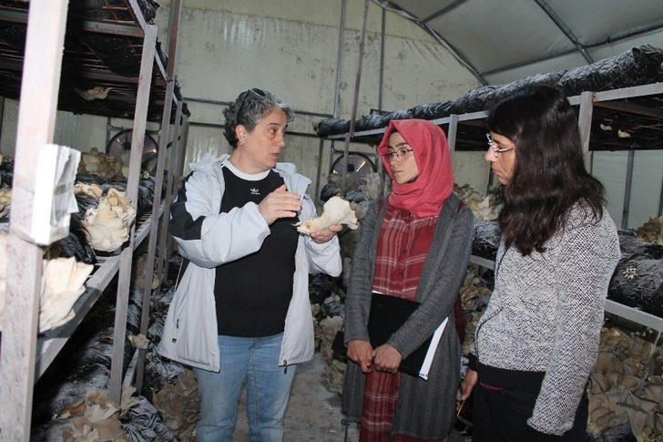 Tosya’da kadın çiftçi eğitimi düzenlendi G2