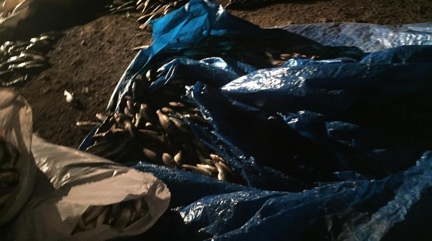 Jandarma ekipleri balık nöbetinde