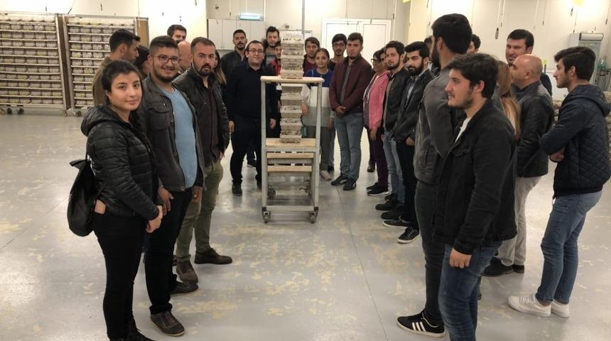 Kumluca MYO &ouml;ğrencileri Bombus Arısı &uuml;retimini yerinde inceledi