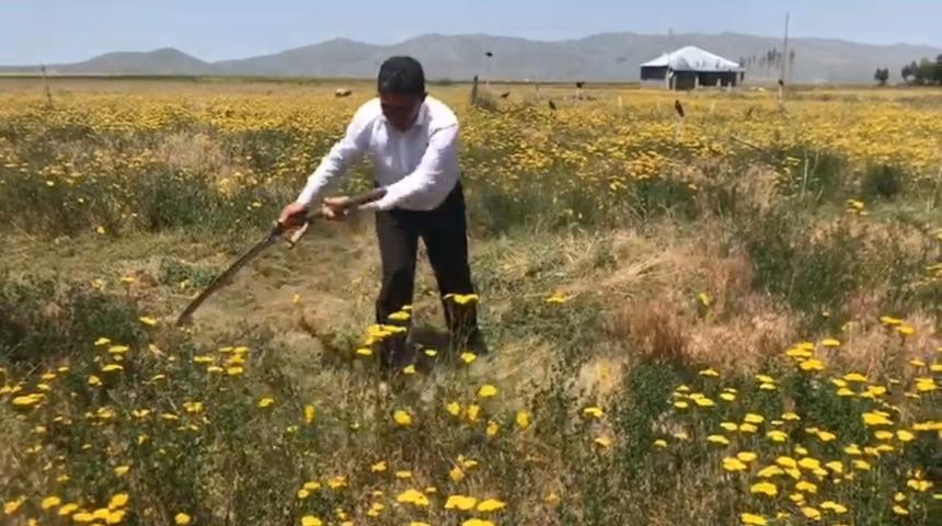 Milletvekili &Ccedil;elebi&rsquo;den, 14 Mayıs D&uuml;nya &Ccedil;ift&ccedil;iler G&uuml;n&uuml; mesajı