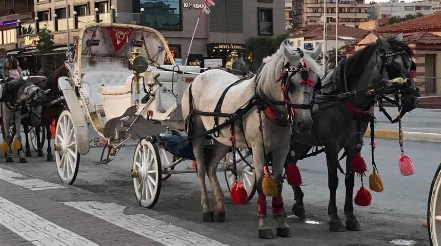 Kuşadası'nda faytonların faaliyetlerine son verildi