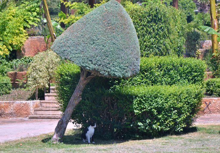 Adana’da termometreler 44 dereceyi gösterdi G3