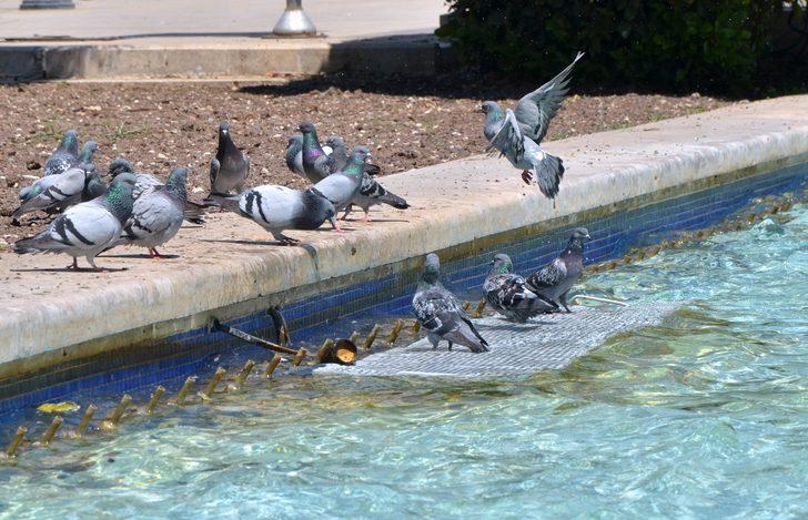 Adana’da termometreler 44 dereceyi gösterdi G5