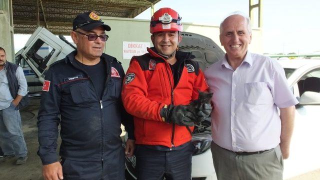 Burhaniye’de otomobilin motoruna giren yavru kediyi itfaiye çıkardı