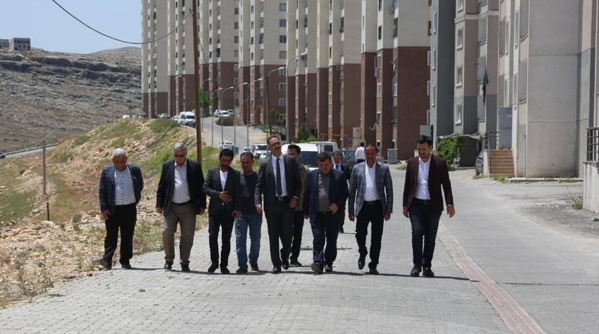 Kuş, Turkuaz konutlarını inceledi