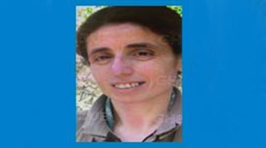 Mavi kategoride aranan terörist etkisiz hale getirildi