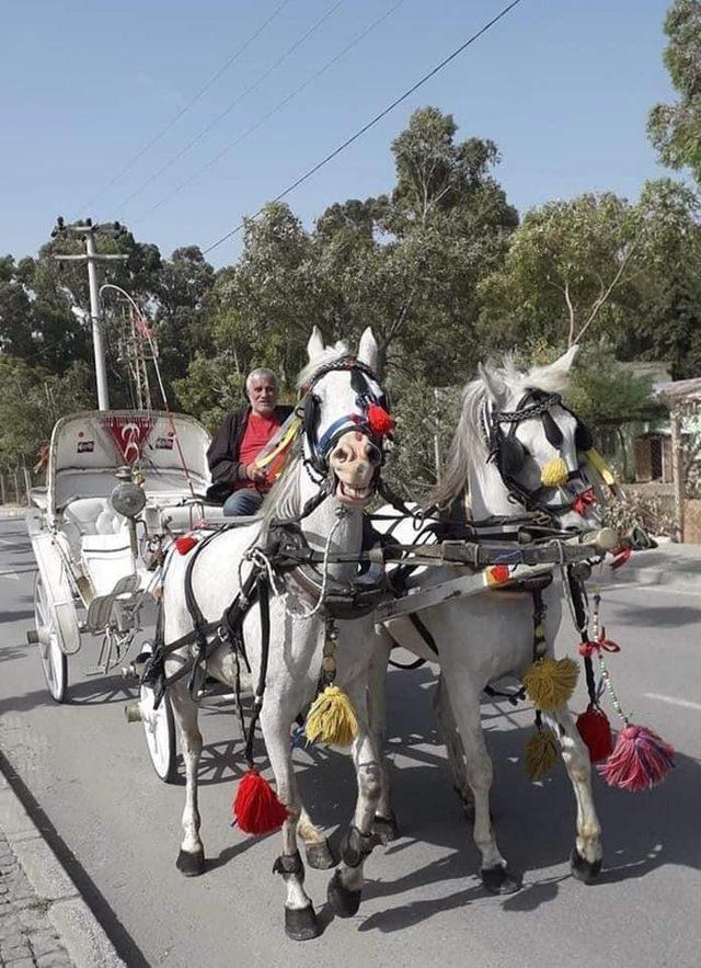 Kuşadası’nda fayton yasaklandı