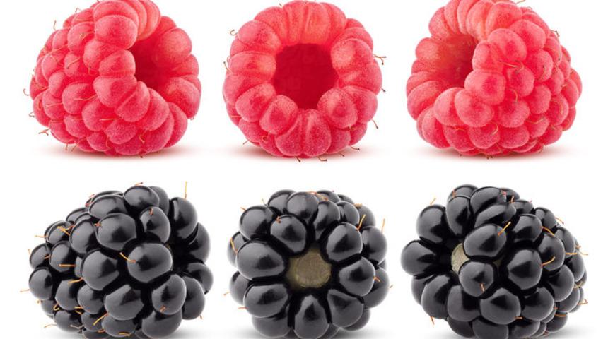 Kırmızı ahududu ve siyah ahududu arasındaki fark nedir?