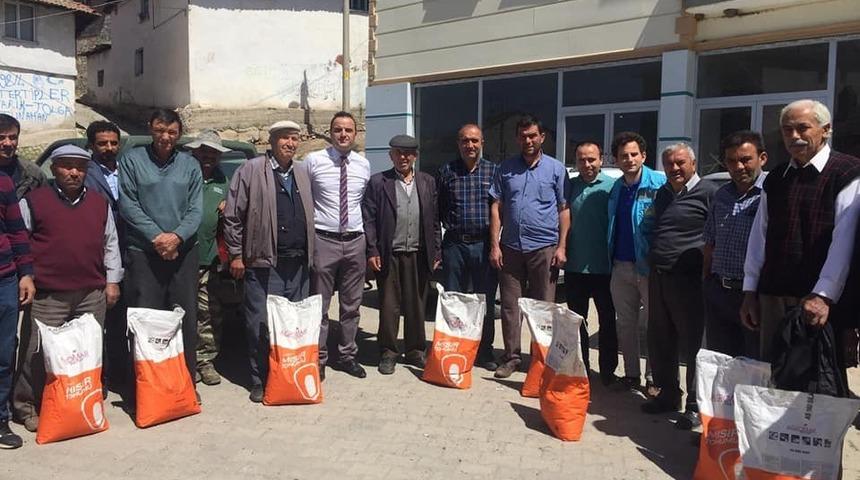 Silajlık mısır üretimi çiftçinin yüzünü güldürüyor