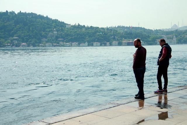 İstanbul Boğazı'nda yunus şöleni