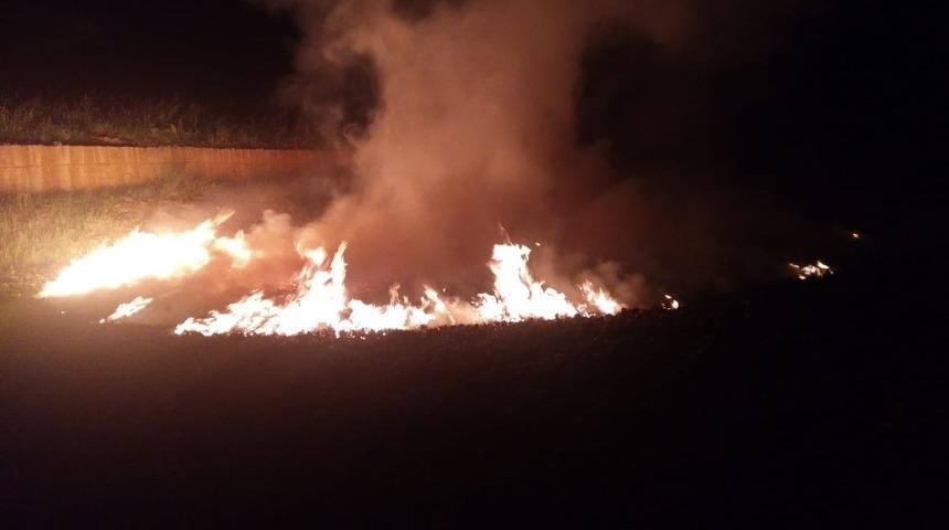 Orman deposu yangınında kozalaklar zarar g&ouml;rd&uuml;