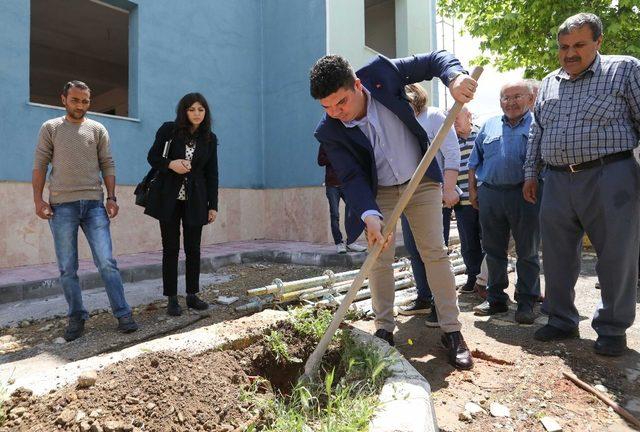 Buca’nın mahallerinde zeytin seferberliği