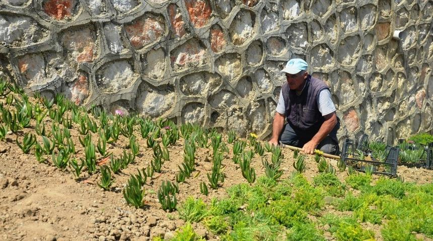 Yunusemre’de park ve bahçeler yaza hazırlanıyor