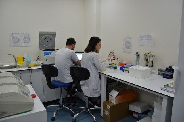 Uludağ Üniversitesinde kanserin kişisel DNA haritasını çıkaran uygulama başladı