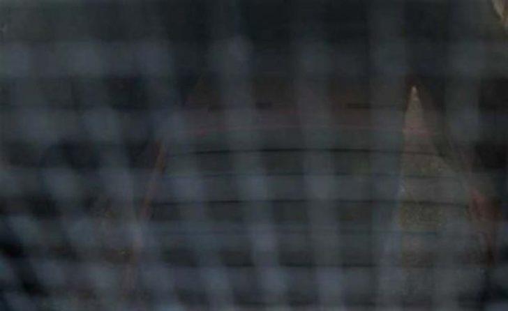 Satın aldığı evin garajından çıkana inanamadı! G3