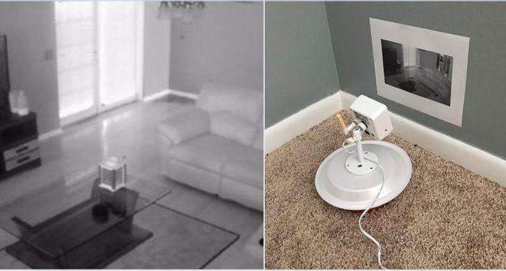 Böyle zeka görülmedi! Öyle bir şey yaptılar ki görenler şokta! G1