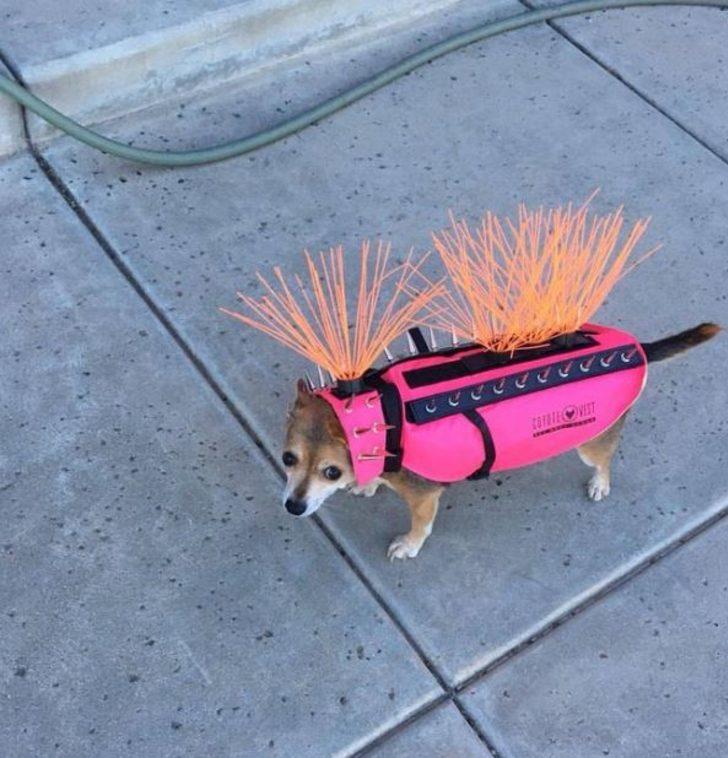 Böyle zeka görülmedi! Öyle bir şey yaptılar ki görenler şokta! G4