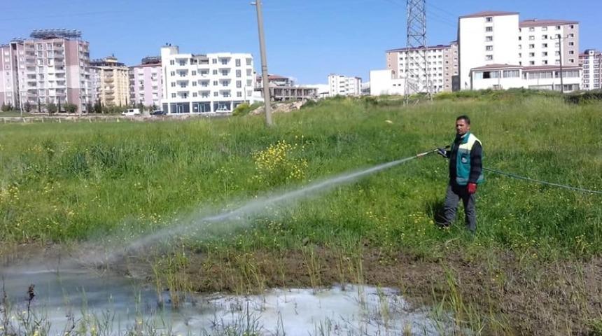 Yağışların g&ouml;lete &ccedil;evirdiği arazilerde ila&ccedil;lama