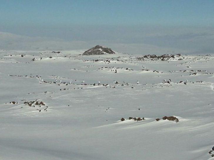 Mehmetçik Tendürek'te, PKK'lıların korkulu rüyası oldu G3