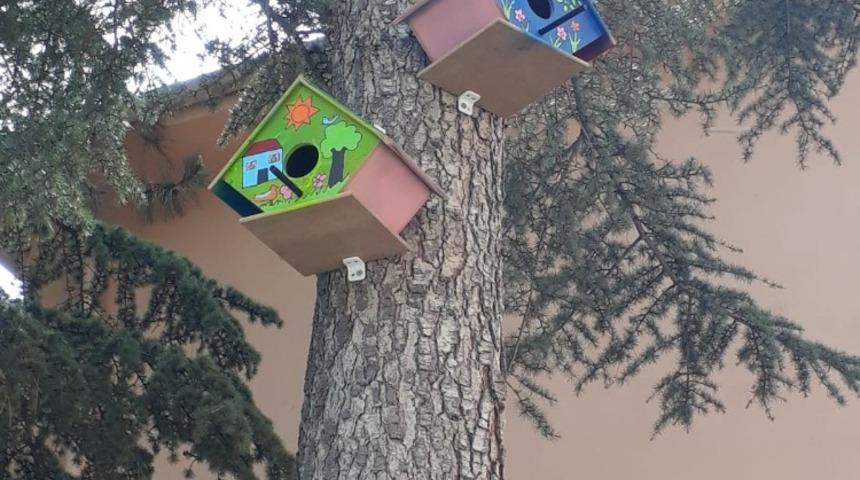 Minik ellerden doğal yaşama sanat dolu armağanlar