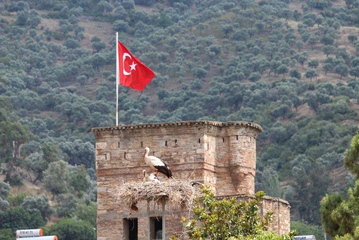 Son 10 yılda değiştiler! Artık leylekler... G1