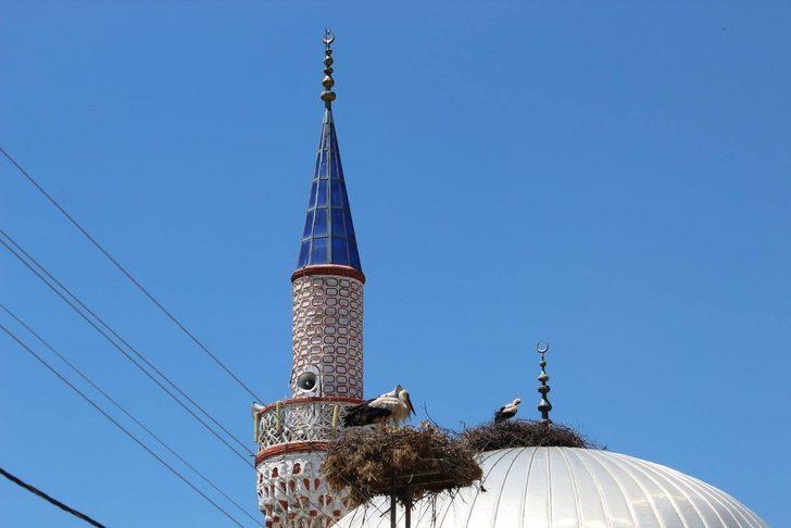 Son 10 yılda değiştiler! Artık leylekler... G2