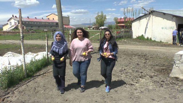 Fotoğraflarını çektikleri yarış atlarına elma ve şeker yedirdiler