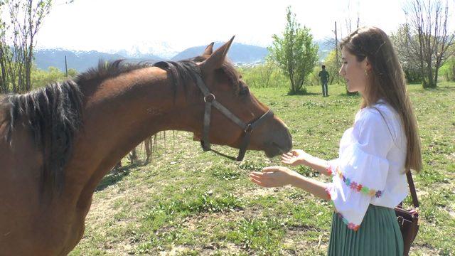 Fotoğraflarını çektikleri yarış atlarına elma ve şeker yedirdiler