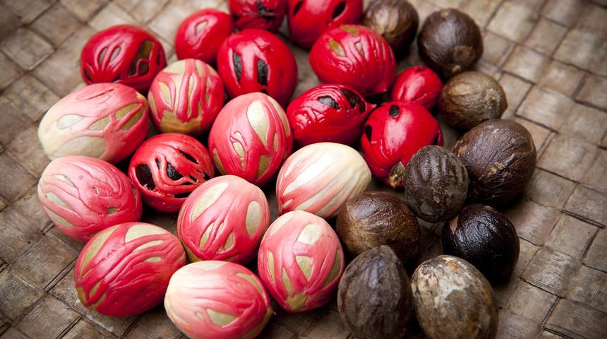 Dikkatli ve &ouml;l&ccedil;&uuml;l&uuml; t&uuml;ketilmediğinde zehirleyebilen 6 tehlikeli gıda