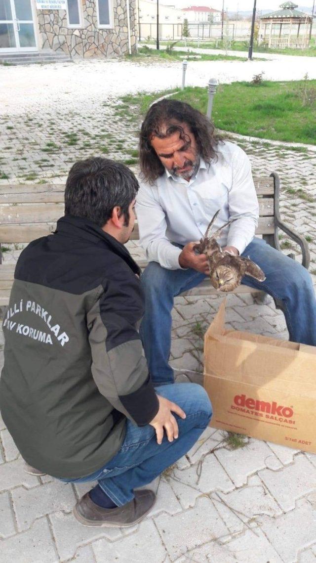 Van&rsquo;da yaralı bulunan kuşlar tedavi altına alındı 2