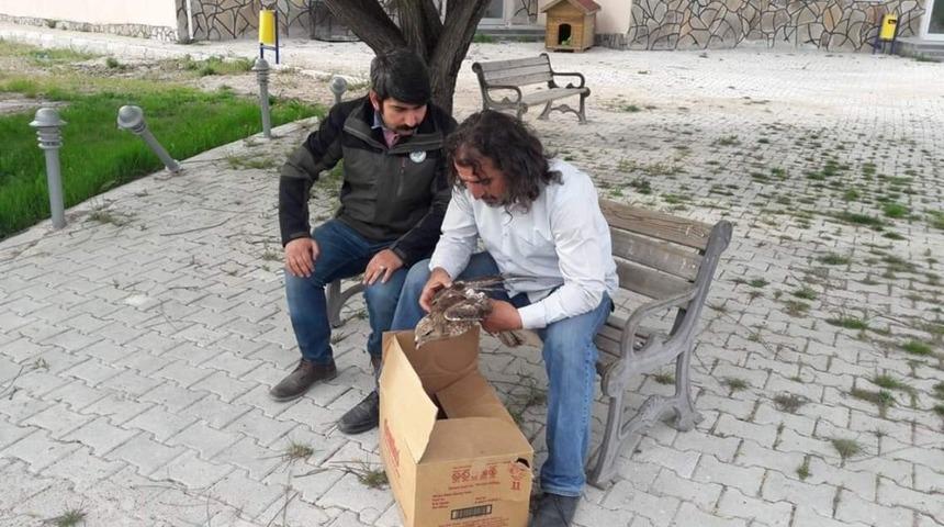 Van&rsquo;da yaralı bulunan kuşlar tedavi altına alındı