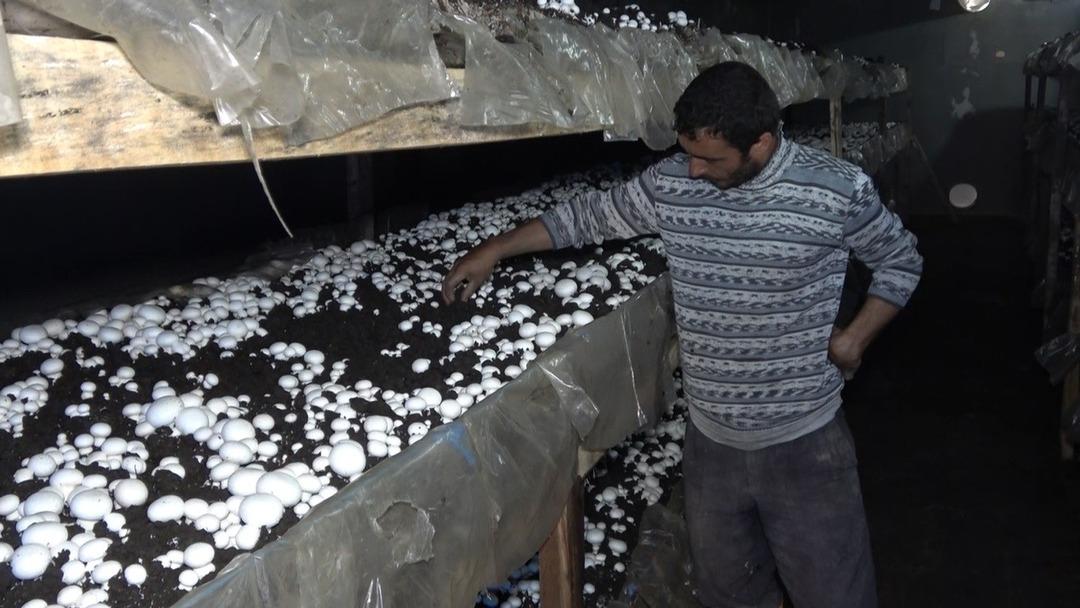 Yılda 220 ton &uuml;retip, kilosunu 8 liradan satıyor