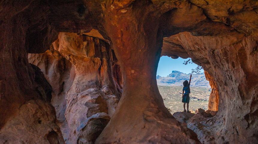  'İlk mimari projeyi kırlangıçlar çizdi'