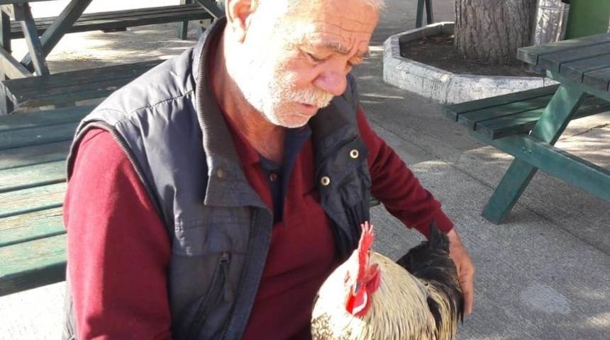 Dat&ccedil;a&rsquo;nın en zengin horozu; Necati