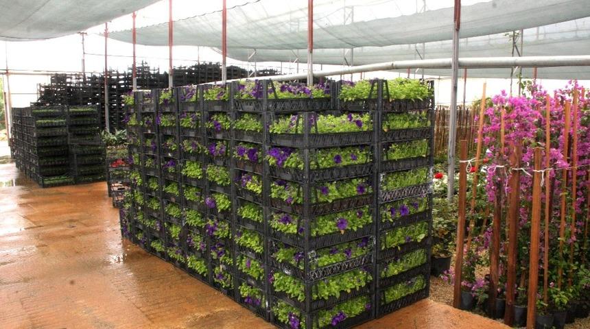 Alanya Belediyesi&rsquo;nden &ccedil;i&ccedil;reklendirme &ccedil;alışması