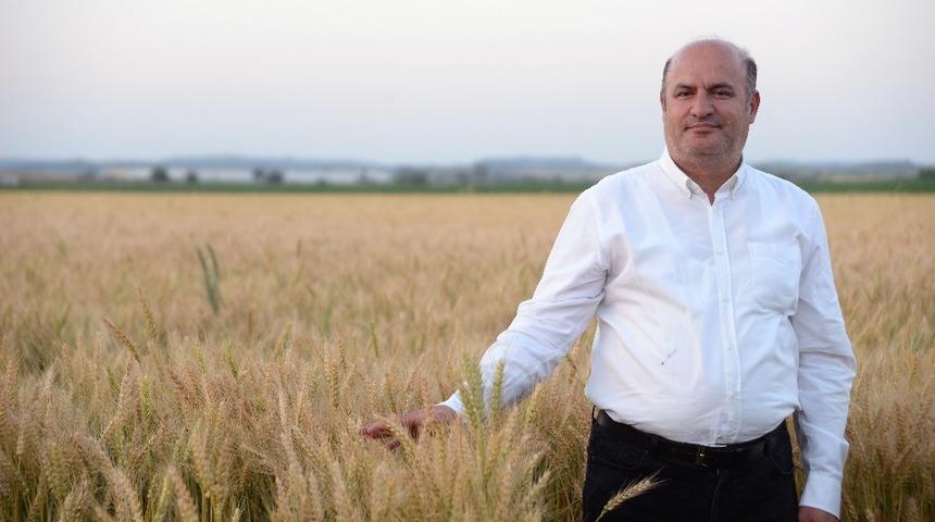 İncefikir: "Buğday ekim alanı arttırılmalı"