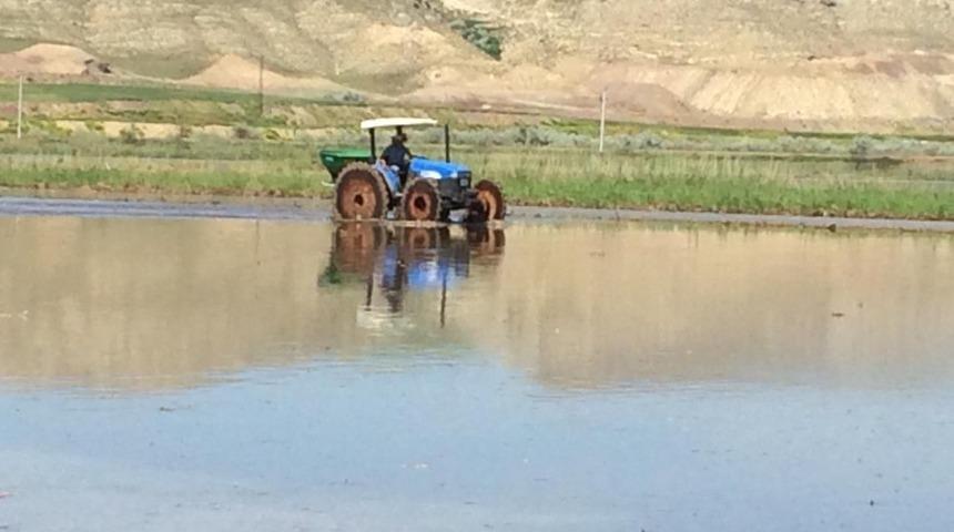 Sungurlu&rsquo;da &rsquo;Beyaz altın&rsquo;  toprakla buluştu
