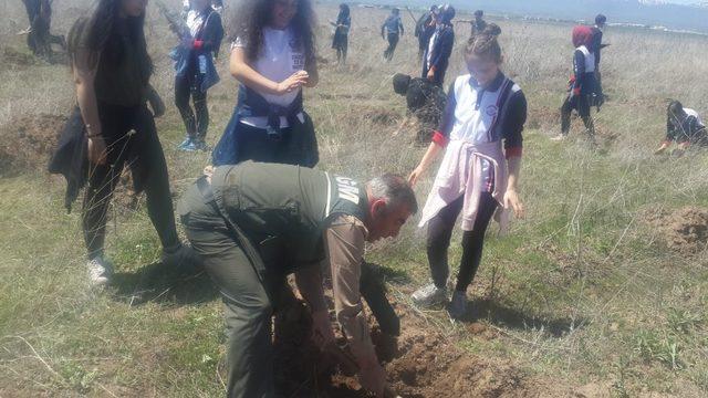 Necmettin Erbakan Fen Lisesi öğrencileri ağaç dikti