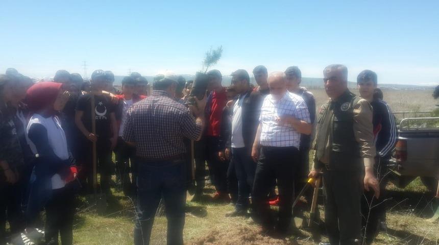 Necmettin Erbakan Fen Lisesi &ouml;ğrencileri ağa&ccedil; dikti