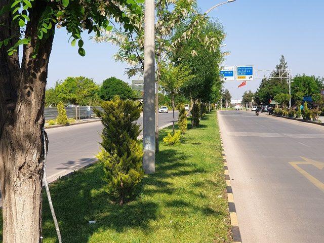 Kilis Belediyesi hizmet &uuml;retmeye devam ediyor 1